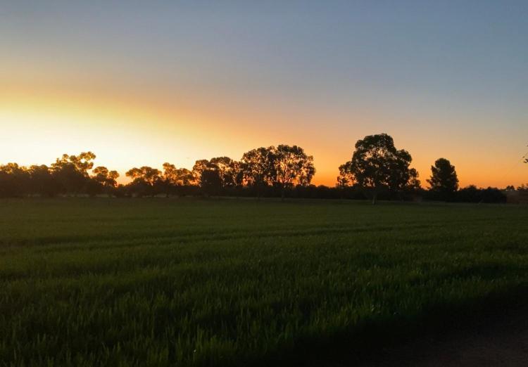 Vila Luxe Ranch Swan Hill Exteriér fotografie